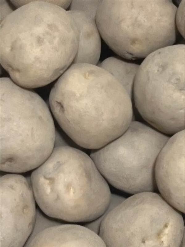1745497368001_1.jpg