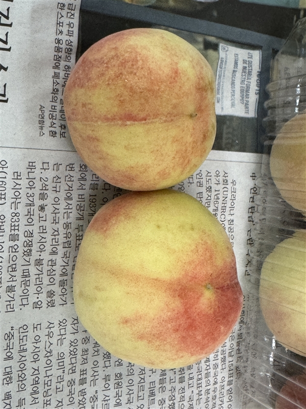 KakaoTalk_20250627_104545050_14.jpg