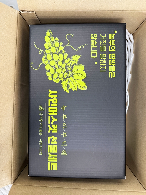 KakaoTalk_20250903_173218408_26.jpg